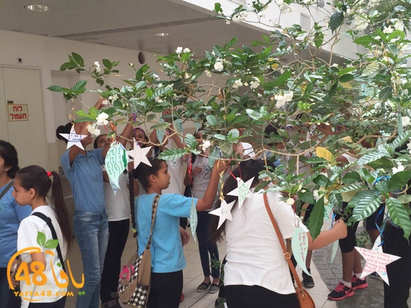 ajyal thanewya ibtida2ya (34).JPG